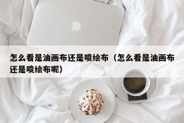 怎么看是油画布还是喷绘布（怎么看是油画布还是喷绘布呢）