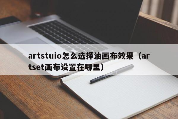 artstuio怎么选择油画布效果（artset画布设置在哪里）